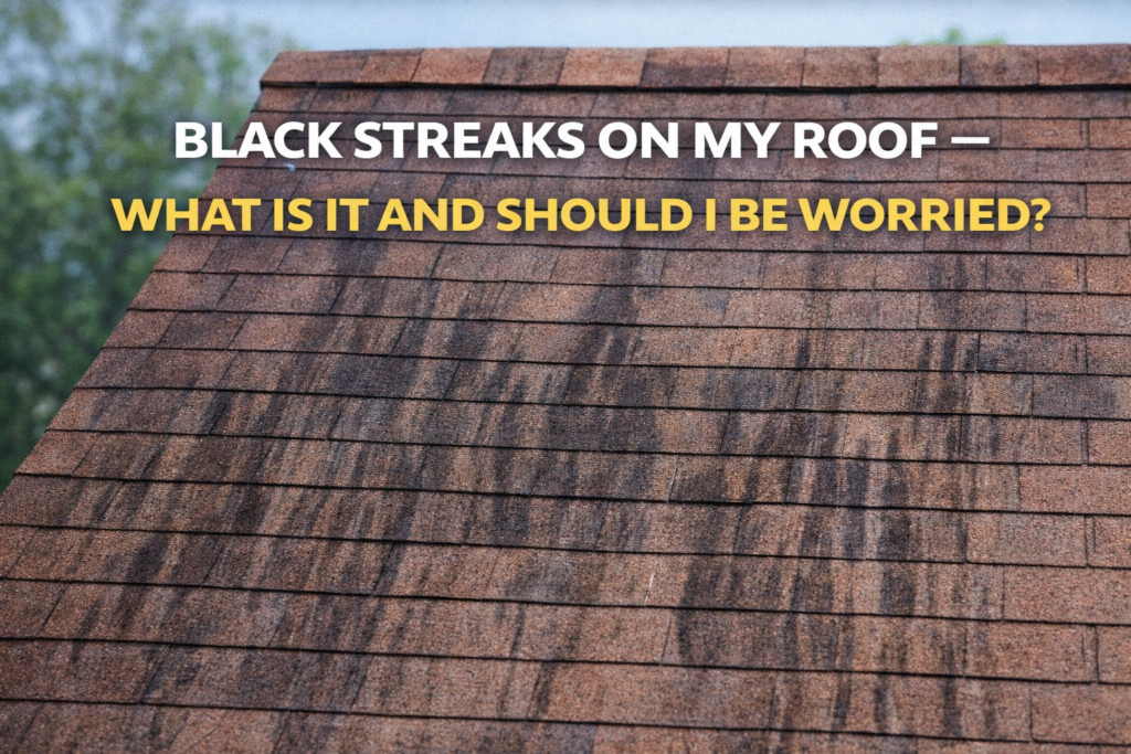 Black Streaks on My Roof: What Is It and Should I Be Worried? Black streaks on roof shingles caused by algae on Tampa home